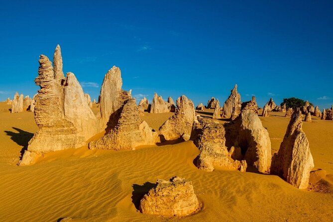 Pinnacles Desert Sunset Stargazing Tour - Important Tour Details and Notes