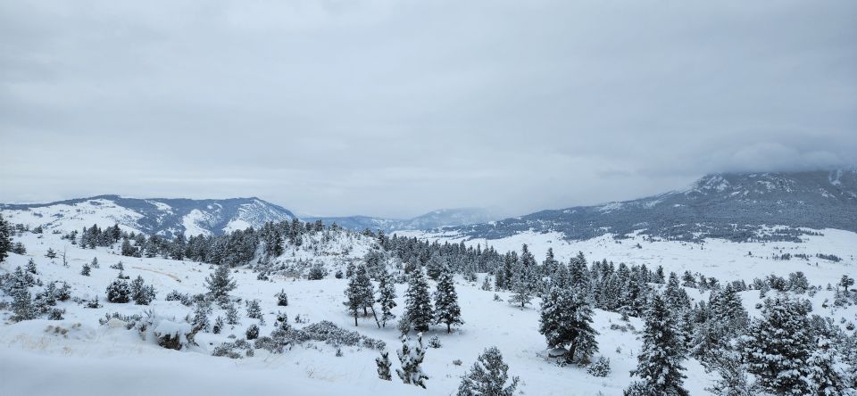 Gardiner: Yellowstone National Park Wildlife Guided Tour - Common questions