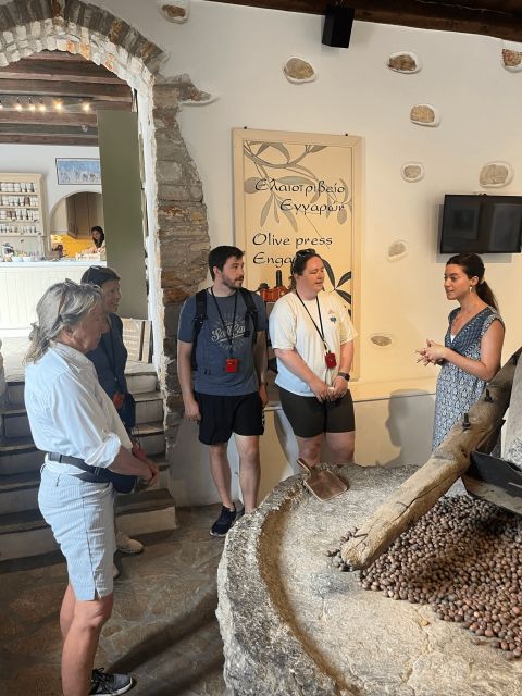 Naxos: E-Bike Guided Tour With Light Farmyard Lunch - Final Words