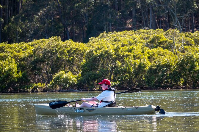 Bermagui River Kayak Tour - Key Points