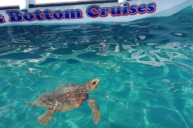 Cruise to Turtles Island and Caves With a Glass Bottom Boat - Key Points