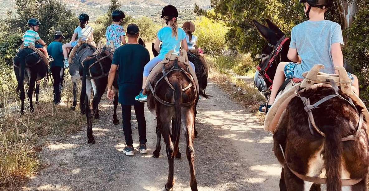 Donkey Ride - Cretan Country - Key Points