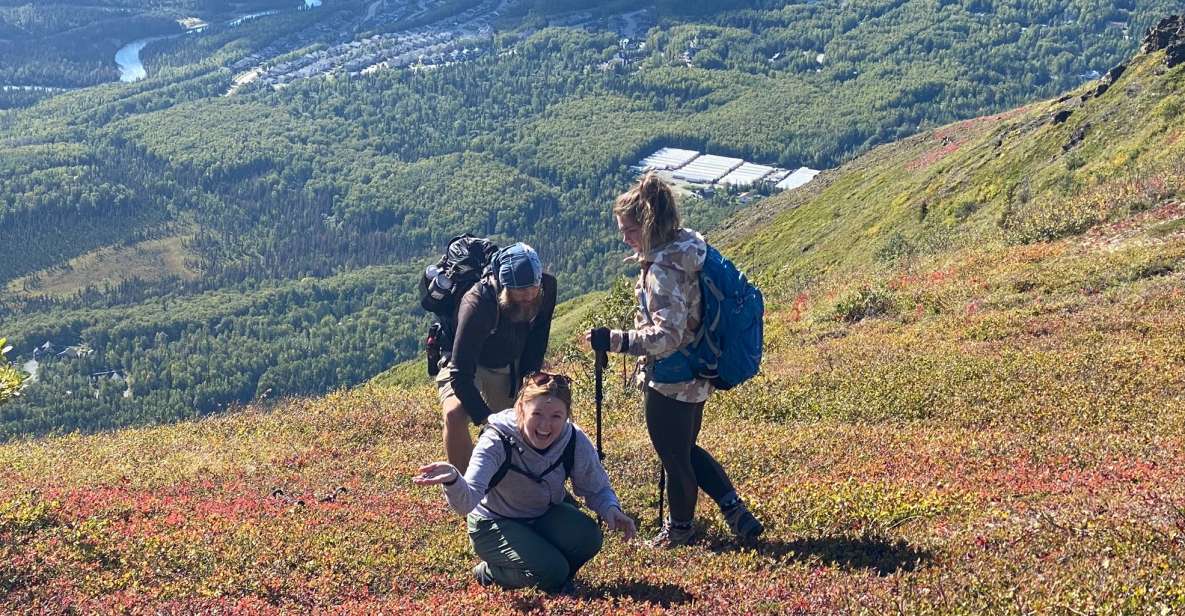 From Anchorage: Chugach State Park Guided Alpine Trek - Key Points