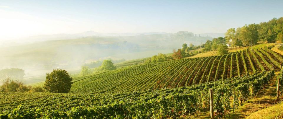 From Florence: Val Dorcia Wine Tour With Private Driver - Key Points