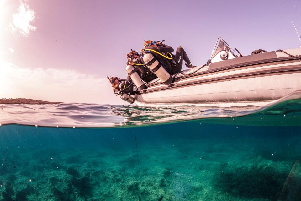 Half Day Dive Trip for Certified Divers - Key Points