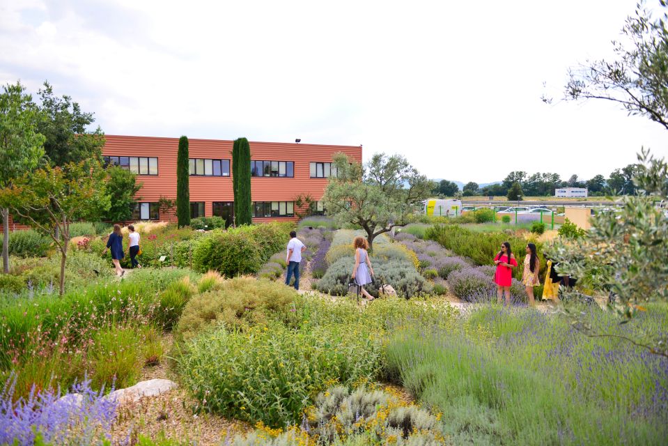 Manosque: Loccitane En Provence Guided Factory Tour - Key Points