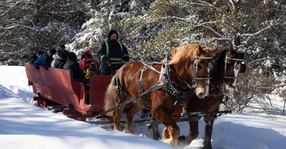 Mont-Tremblant: Sleigh Ride W/ Storytelling & Hot Chocolate - Key Points