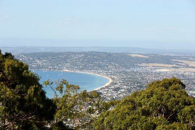 Mornington Peninsula Sightseeing and Bay Cruise - Key Points