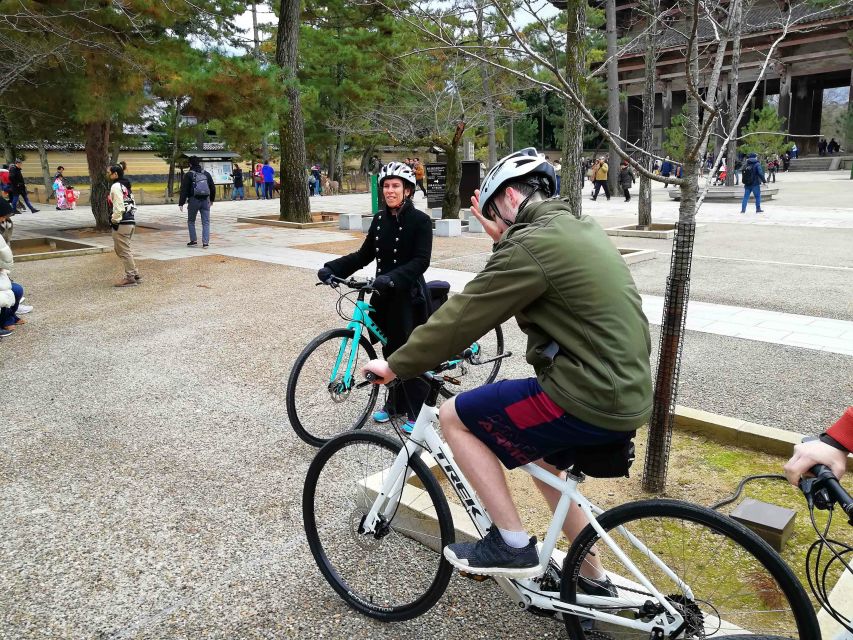 Nara: Nara Park Private Family Bike Tour With Lunch - Key Points