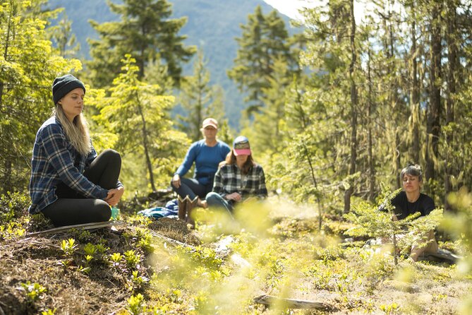 Private Forest Bathing in Serene Whistler Forests - Key Points