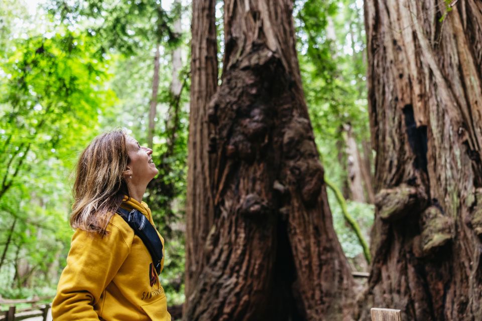 San Francisco: Muir Woods & Sausalito Tour With Ferry Option - Tour Overview