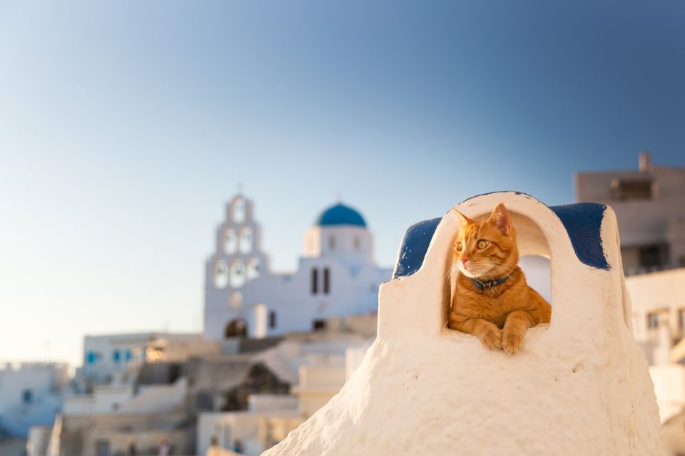 Santorini: Instagram Highlights Tour With a Photographer - Key Points