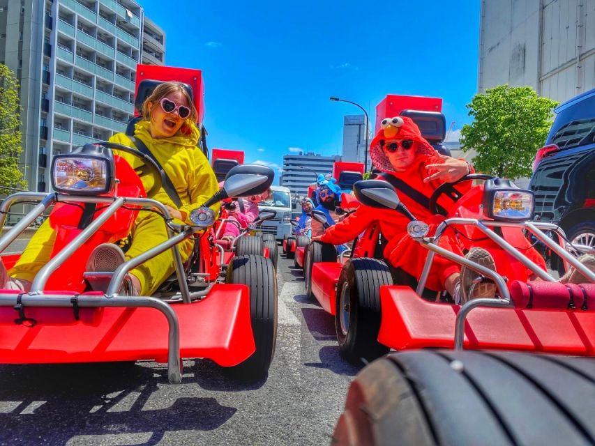 Tokyo: Guided Street Go-Karting Tour in Tokyo Bay - Key Points