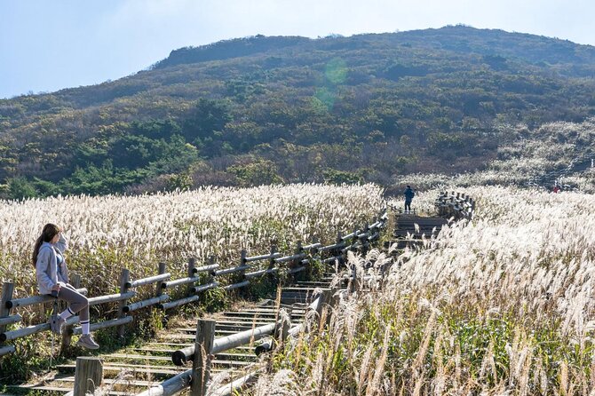 Ulsan Ulju Mountain Film Festival - Key Points