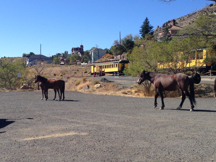 Virginia City Day Tour From Lake Tahoe - Tour Overview